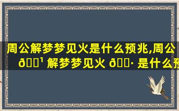 周公解梦梦见火是什么预兆,周公 🌹 解梦梦见火 🕷 是什么预兆 女性生男孩